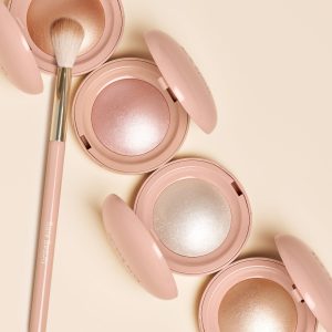 positive light precision highlighter brush